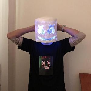 DJ mask leadership music festival