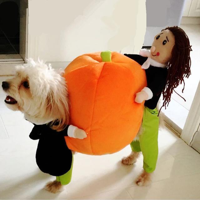 【Buy Two Free Shipping】Dog & Cat Pumpkin Christmas Costume