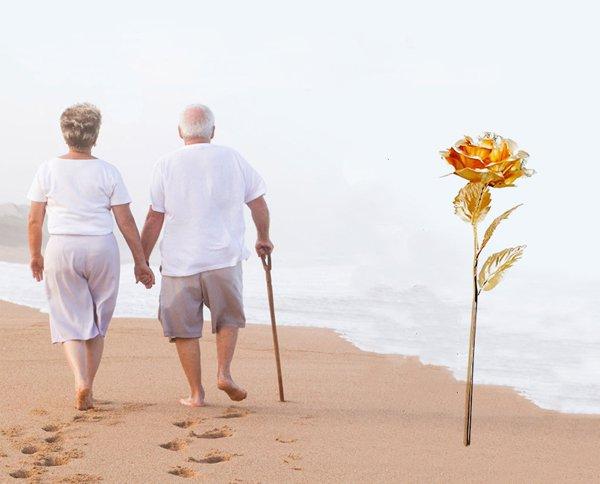 Gouden Roos Kopen 24K Goudfolie